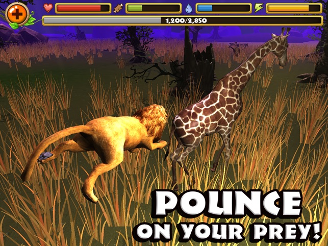 Safari Simulator Lion On The App Store - wild savannah roblox how to unlock animals