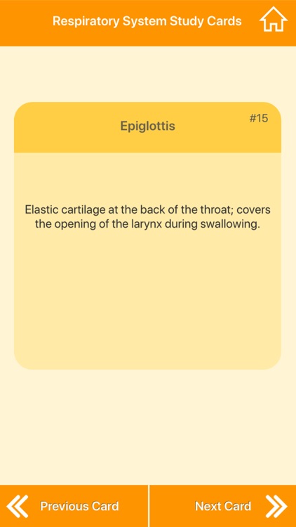 Respiratory System Biology screenshot-7