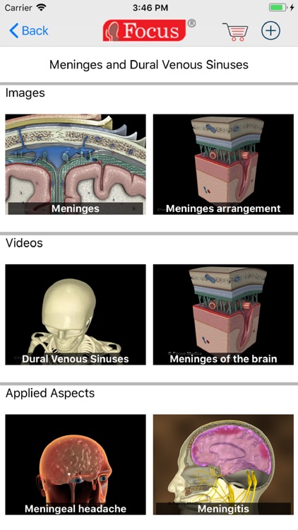 NEUROANATOMY - Digital Anatomy