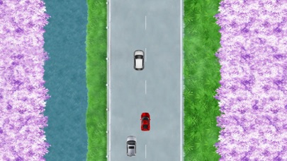Road And Speed screenshot 2