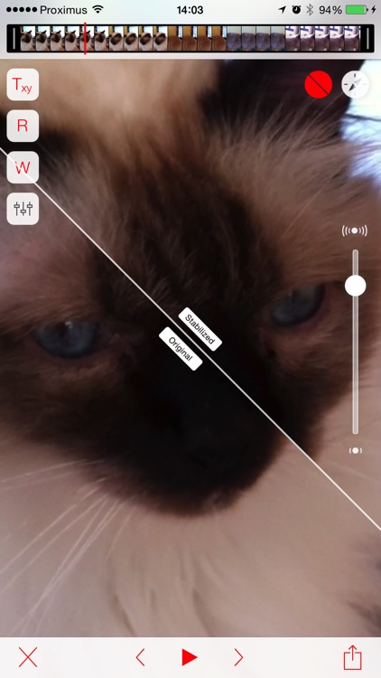 Emulsio - Video Stabilizer