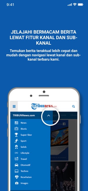 Tribunnews.com