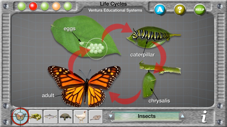 Interactive Life Cycles