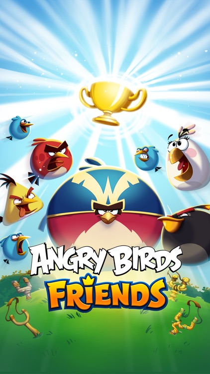 Angry Birds Friends screenshot-6