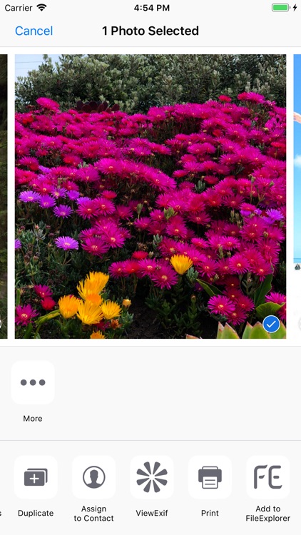 ViewExif screenshot-4