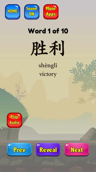 Chinese Flashcards HSK 5 screenshot 3