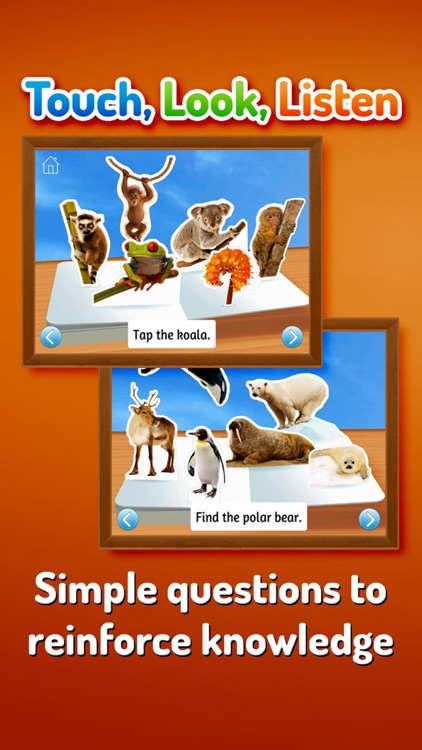 Zoo Animals ~ Touch, Look, Listen screenshot-4