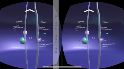 Mitochon VR II screenshot 2