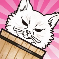 猫神チャンス！