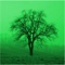 With this app you can easily identify trees
