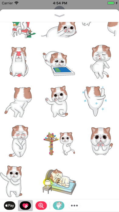 Hyper Cat Animated Stickers screenshot 2