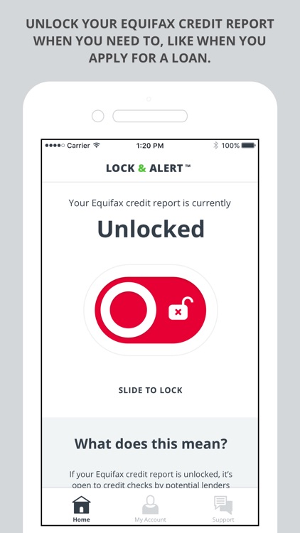 Lock & Alert™