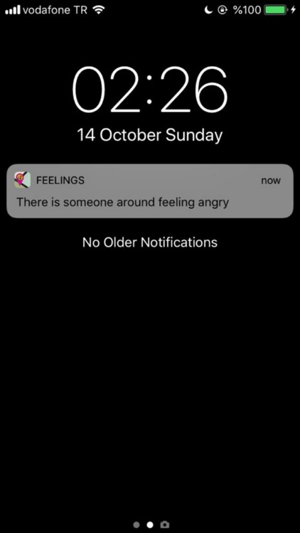 The Feelings screenshot-3