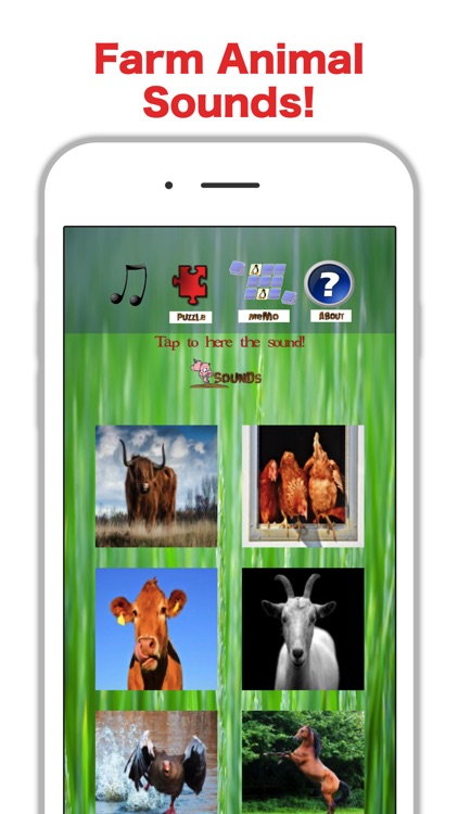 Country Zoo: Farm Animal Games