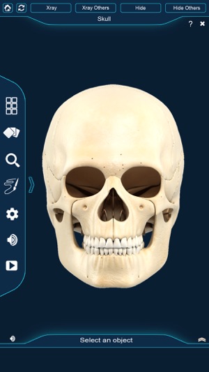 My Skull Anatomy(圖2)-速報App