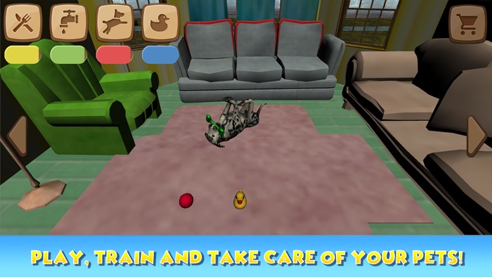 狗宠物沙龙 - 小狗关心