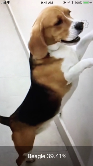 Dog Identifier- Dog ID Camera screenshot 3