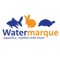 Watermarque began back in 1984 as a small aquatics store based within the Wellington Garden Centre