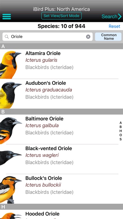 iBird Plus Guide to Birds