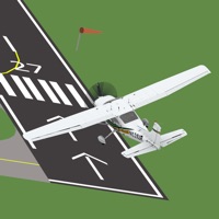 Perfect Landings pour PC