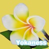 リンパドレナージュサロン　Yokaness　公式アプリ