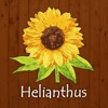 トータルボディケアサロンHelianthus