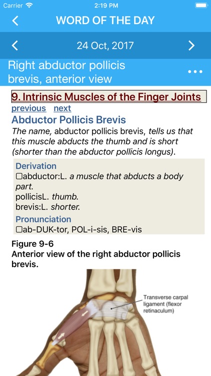 Muscular System Manual