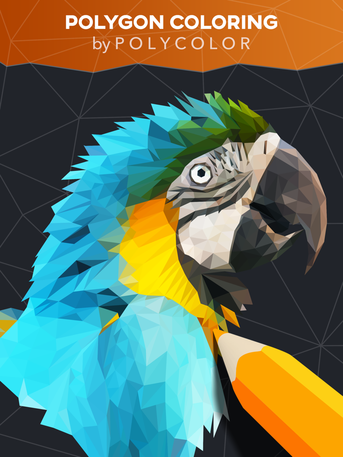 PolyColor - Colour by Polygon