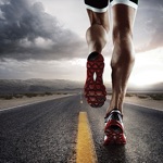 Pedometer Calorie Calculator