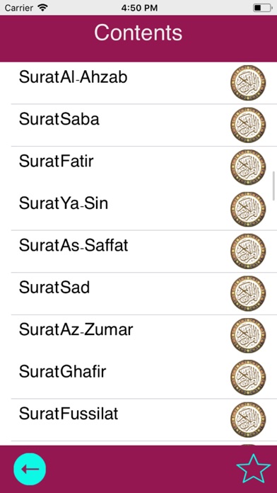 Quran Siddiq Al - Menshawi screenshot 2