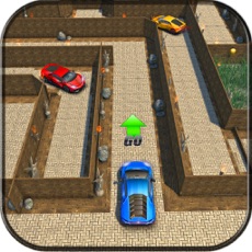 Activities of Car Parking In Labyrinth Maze