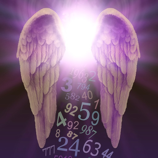 Angel Number Signs Icon