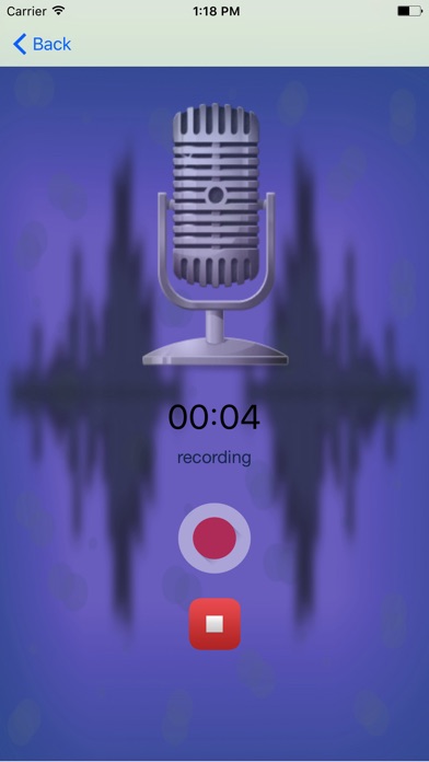 Voice Changer - recorder app screenshot 2