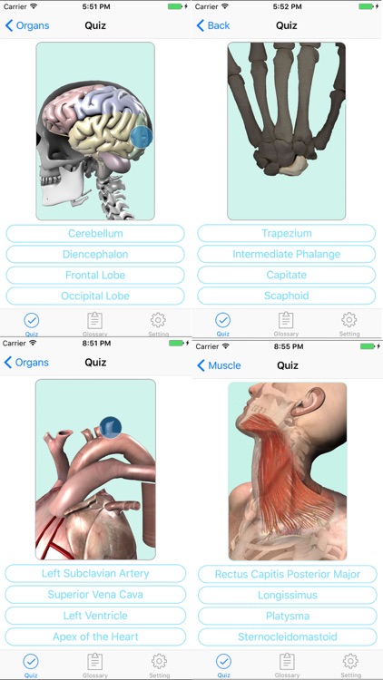 Anatomy, Physiology Quiz and Glossary for iPhone screenshot-3
