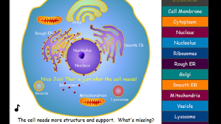 Cell Explorer: The Animal Cell