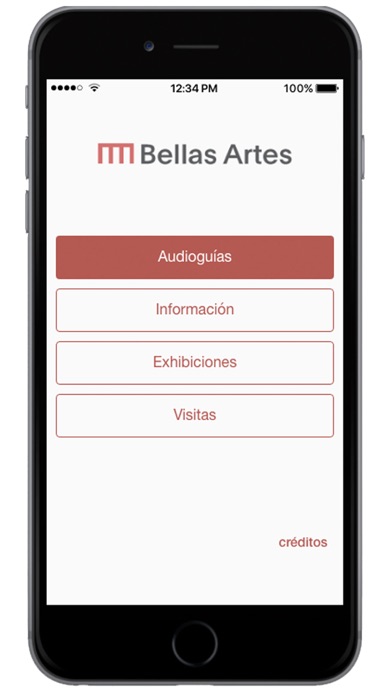 Museo Nacional de Bellas Artes screenshot 2