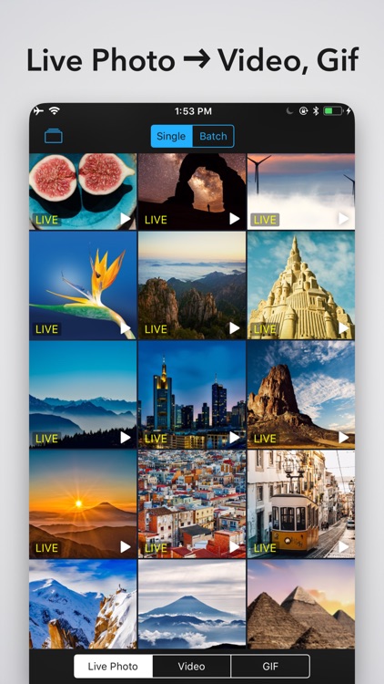 Live Convert Pro