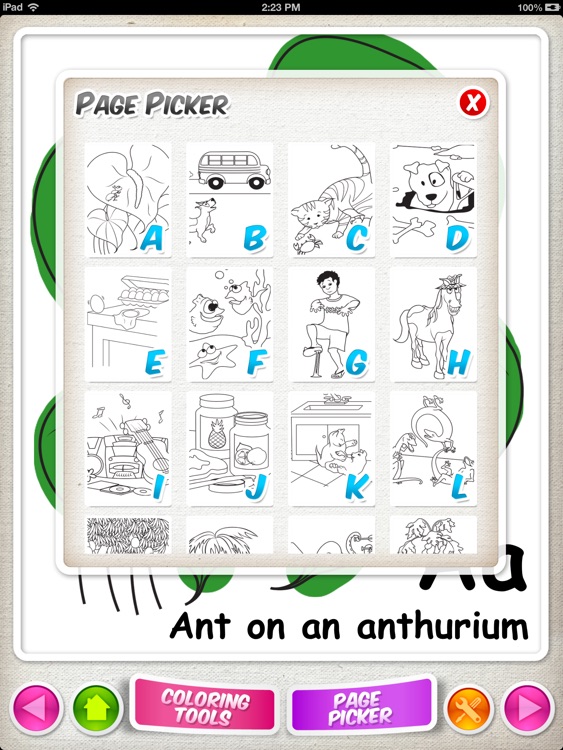 Pihana ABCs
