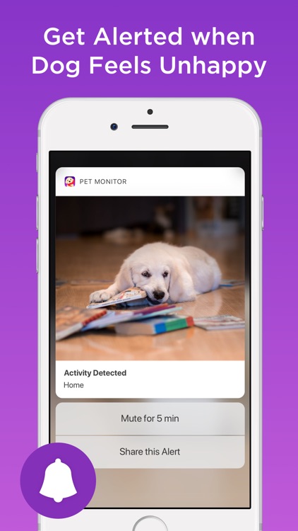 Pet Monitor VIGI