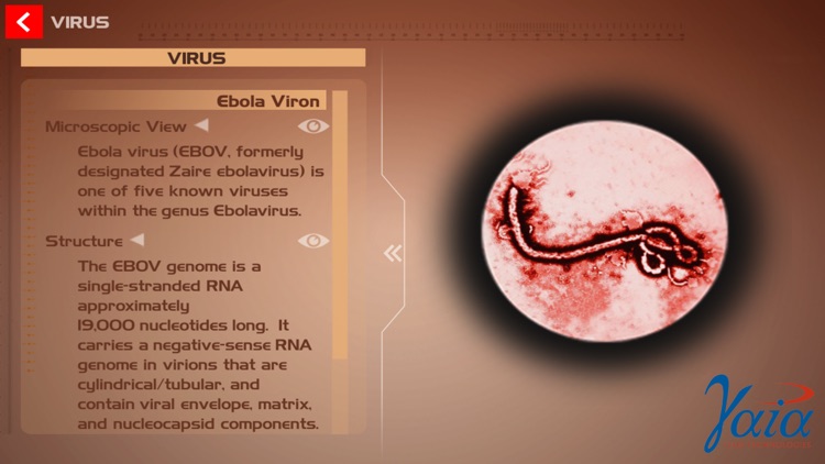 Ebola 3D