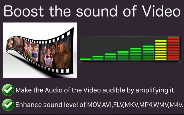 Video Sound Amplifier