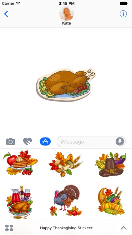 Happy Thanksgiving Stickers!