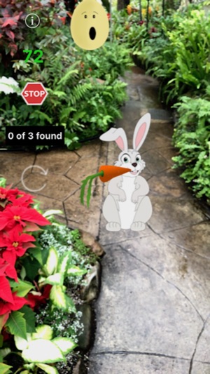 AR Easter Egg and Bunny Hunt(圖2)-速報App