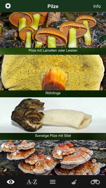 Pilzführer Deutschland, Pilze!