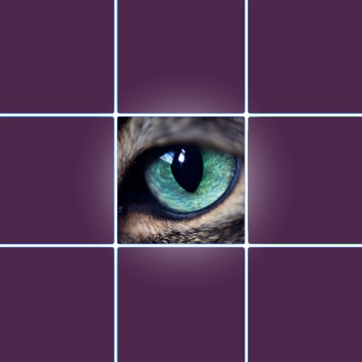 Eyes Test Animals iOS App