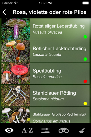 Pilzführer Deutschland, Pilze! screenshot 3