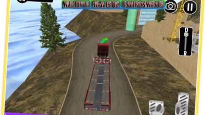 Cargo Truck Drive Transport screenshot 3