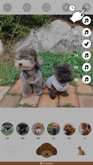 CoCo for poodles screenshot 3