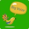 Big Voize  is a mobile dialer or application which makes VoIP calls with minimum iOS version support of 7