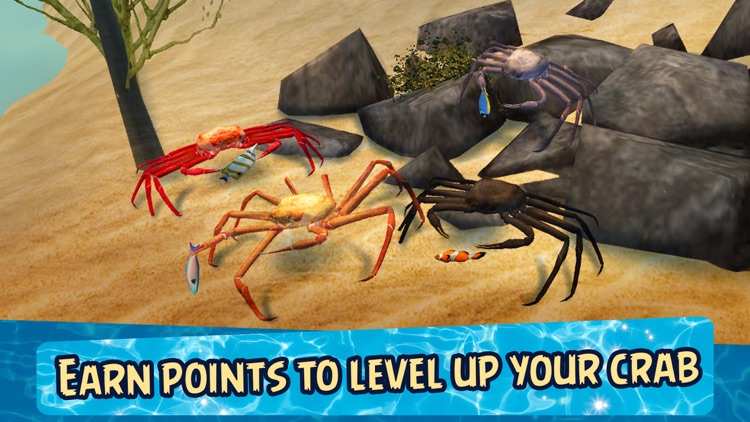 Sea Crab Survival Simulator 3D screenshot-3